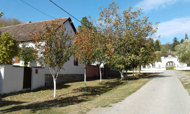 Село које тихо нестаје