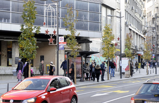 ТРГ МИЛАНА МЛАДЕНОВИЋА: Саднице стигле с првим мразом