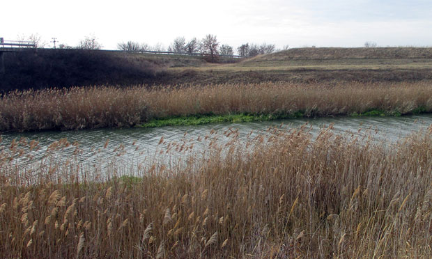 Зрењанин: Пас нањушио тело жене