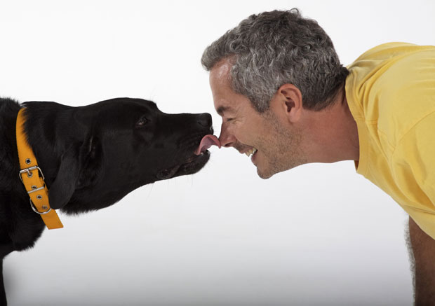 Живот из псећег угла