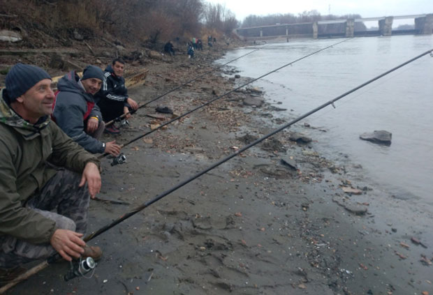 Банатски бакалар трза ноћу

