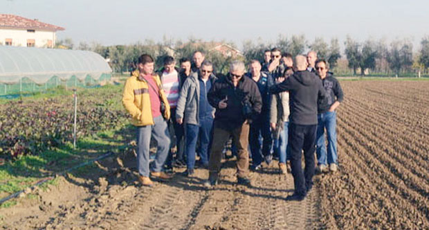 Пирот: Учили од Италијана