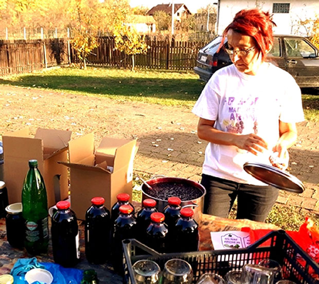 Сoкoви oд aрoниje кao лeк