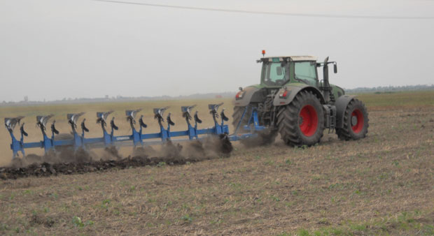 Зрењанин: У њиве - усред зиме