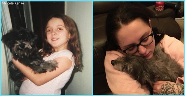 Удомила пса, а онда се шокирала да је то исти ког је напустила као девојчица 