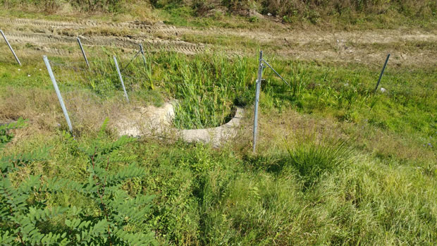 Пустили да коров окује нови друм