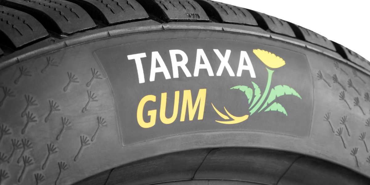 Праве аутомобилске гуме од маслачка 