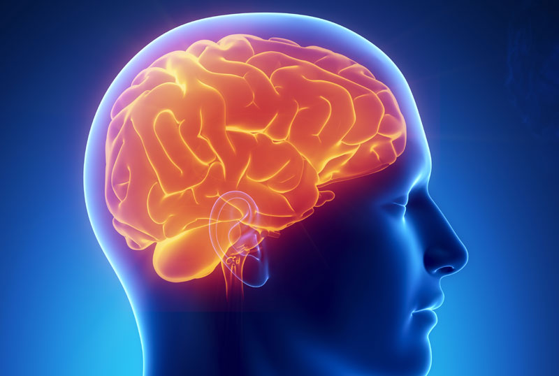 ЖЕНИ ПРОНАШЛИ “КАШУ” У ГЛАВИ: Мозак јој појеле амебе, а за све је крива вода