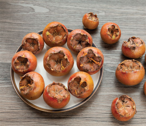 Мушмула пуна витамина