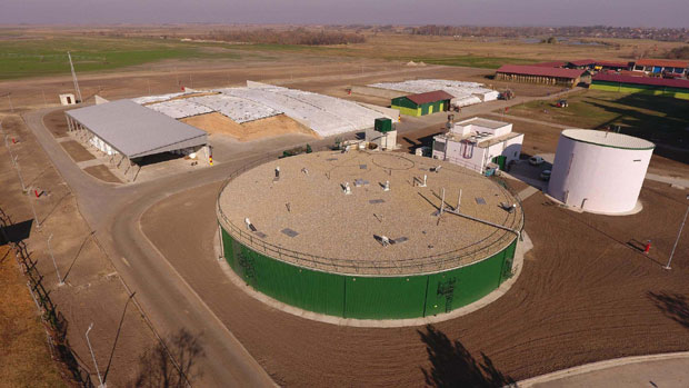 Гаје краве, производе струју!