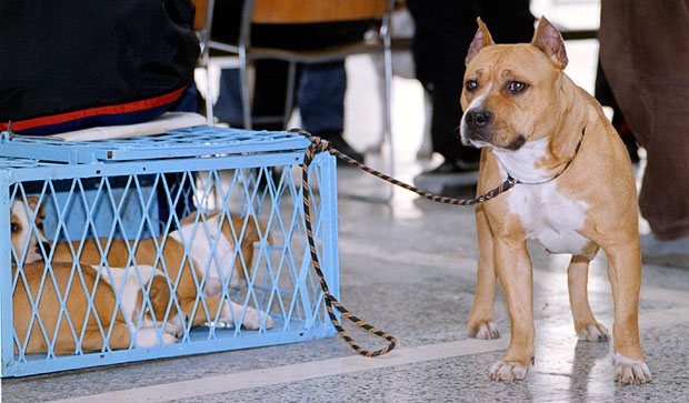 
Такса укинута, а рачуни стижу