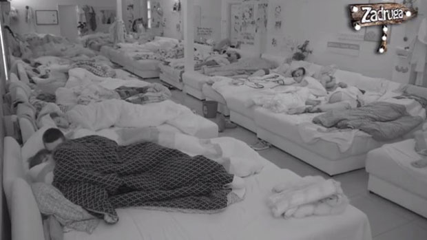 Миљана и Зола се препустили страстима испод покривача