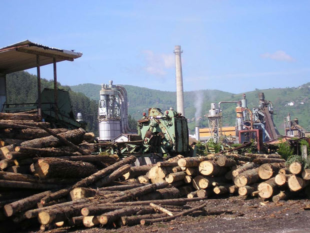 Дугови гуше Вектру Јакић