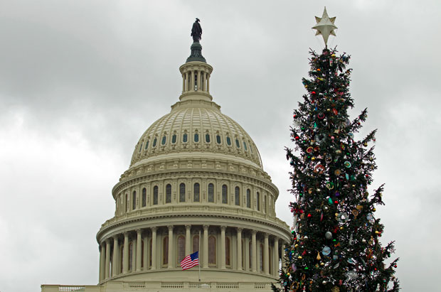 Мушкарац се попео на јелку испред Беле куће (ВИДЕО)