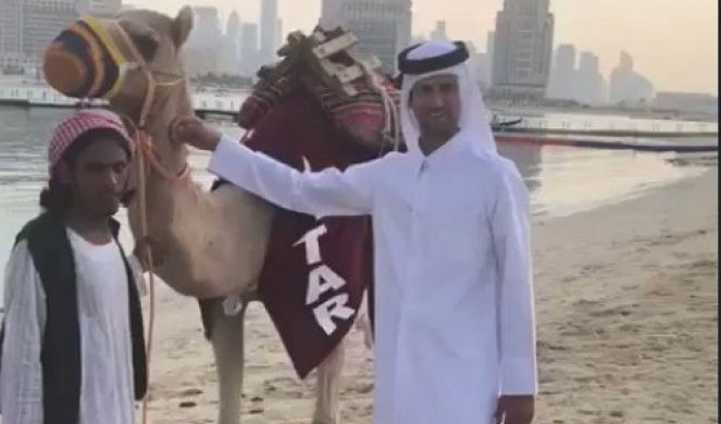 НОВАК У ДОХИ ПРИЧАО О ШЕТЊИ С КАМИЛОМ: Прво сам се уплашио, али смо се спријатељили (ВИДЕО)