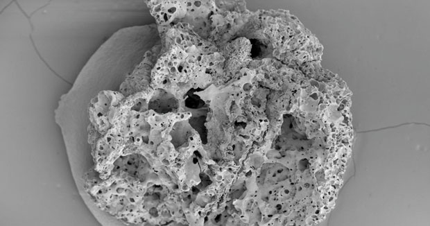 ОТКРИЋА У 2018. ГОДИНИ: Хлеб и пиво од пре 14 миленијума