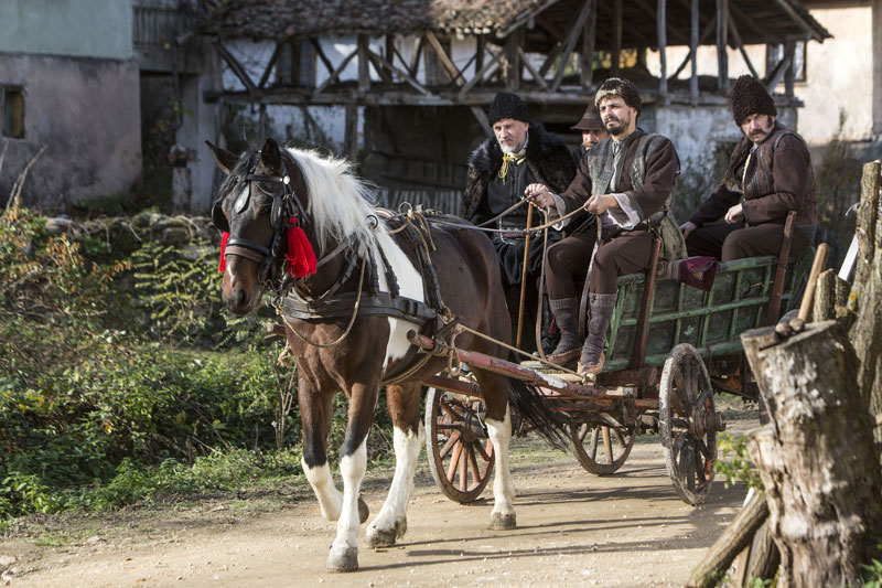 ТВ И ФИЛМСКА КРИТИКА: “Корени” и “Јужни ветар” обележили 2018. годину