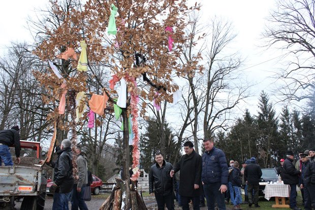 Бадњак радост дозива