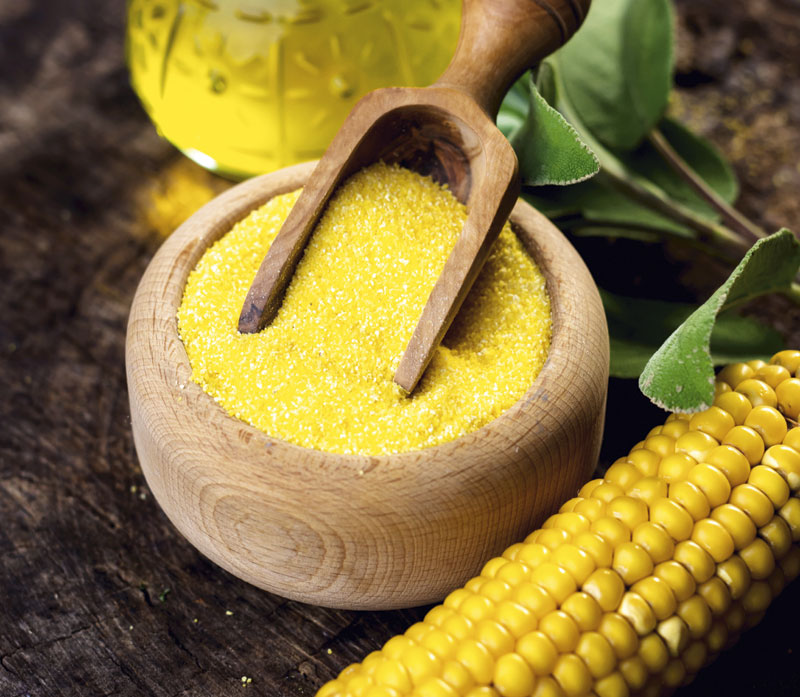 Палента извор цинка