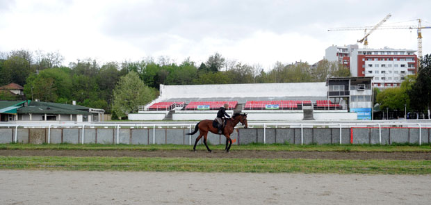 Хиподром још без директора 
