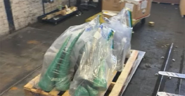  Пронађени рогови носорога вредни 1,7 милиона долара