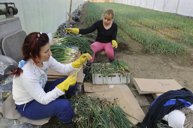 За боље запошљавање: Бесплатно до разних вештина