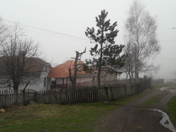 ПОПУЛАРАН У СРБИЈИ: Путин има село, цркву, ракију...(ВИДЕО)