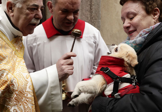 ПСИ, МАЧКЕ И ПТИЦЕ НАПУНИЛИ ЦРКВУ: На хиљаде љубимаца чека благослов Светог Антуна (ФОТО)