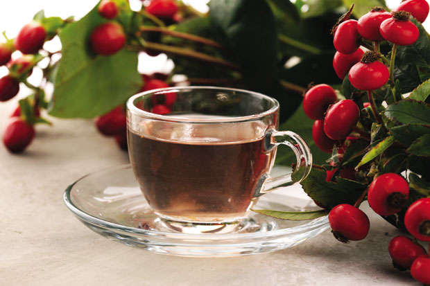 За умор, малаксалост, прехладу...