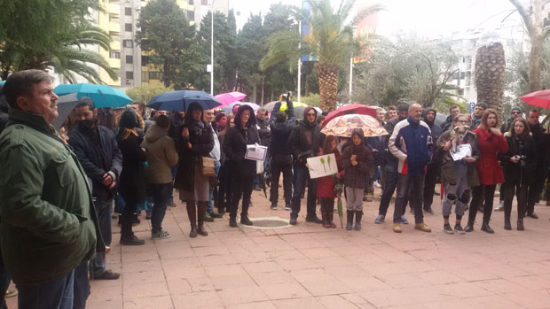 Грађани Бара осудили сечу чемпреса