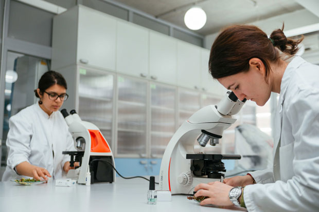 Петница чека 2.000 талената