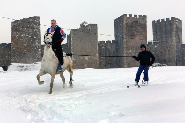 У славу Светог Луке