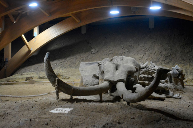 ВИМИНАЦИЈУМ: Мамут парк затворен због реконструкције (ФОТО)