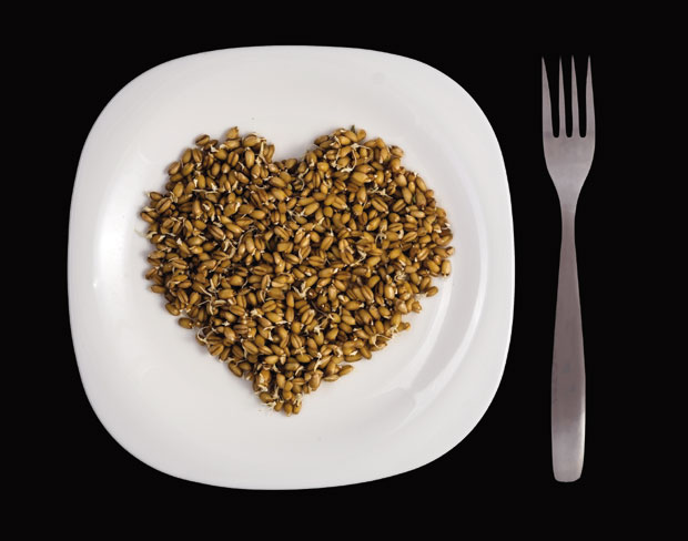 Клице на јеловнику