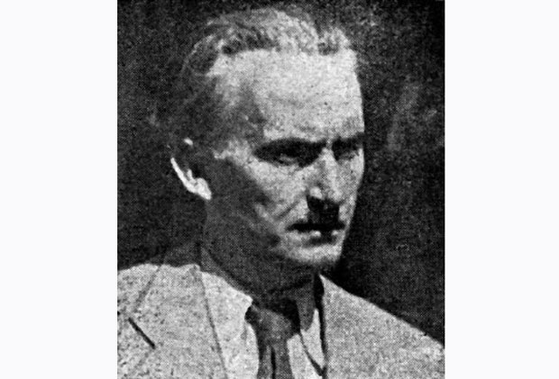 Запрепашћени писањем о Љотићу