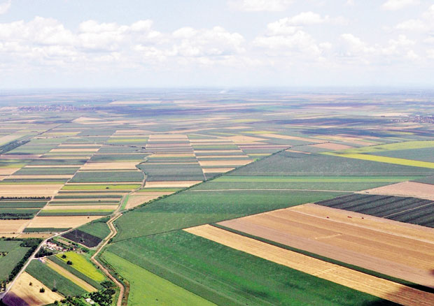 ОСПОРЕН ЗАКУП ДРЖАВНИХ ОРАНИЦА У ЗРЕЊАНИНУ: Прече право паора?