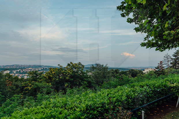 Београдске приче: Видокруг једне метрополе