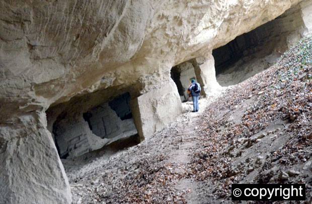 Путински пребранац на фрушкогорском менију