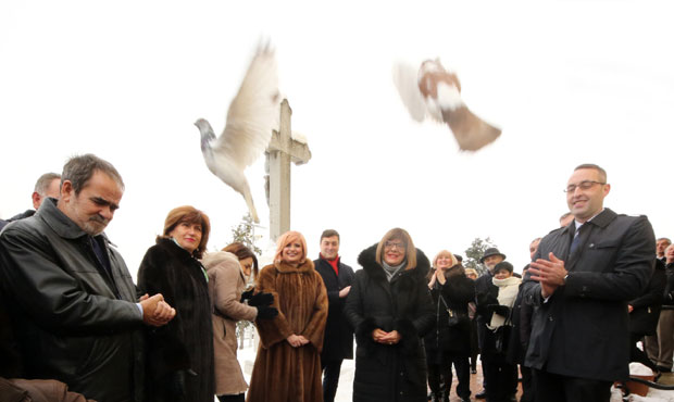 Лет голубова мира изнад Карловаца 