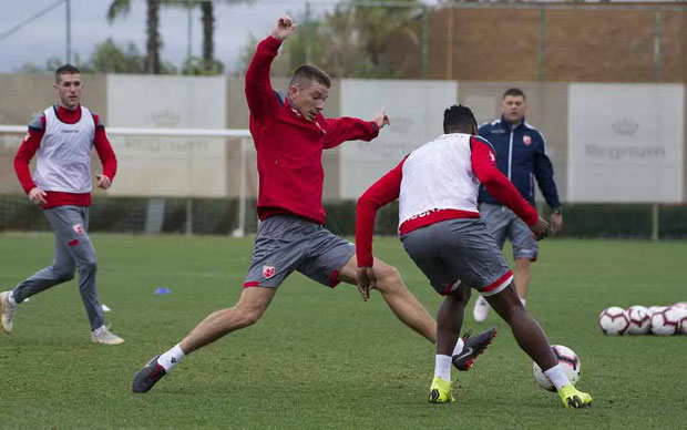 МИЛОЈЕВИЋ ИМА СЛАТКЕ МУКЕ: Звезда у Белеку хвата залет и кристалише тим за пролеће