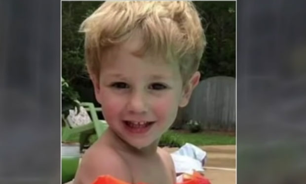 “ЧУВАО МЕ МЕДА”: Невероватна прича дечака (3) изгубљеног у шуми (ВИДЕО)