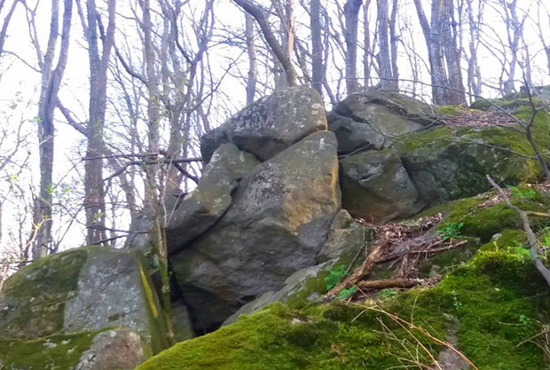 ВОЈВОЂАНСКЕ ПРИЧЕ: Намигуша у камену