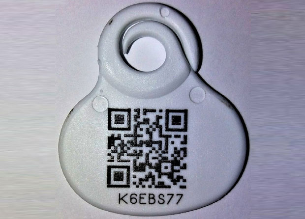 ПОМОЋ ВЛАСНИЦИМА ПАСА: Незамењиви трагачи