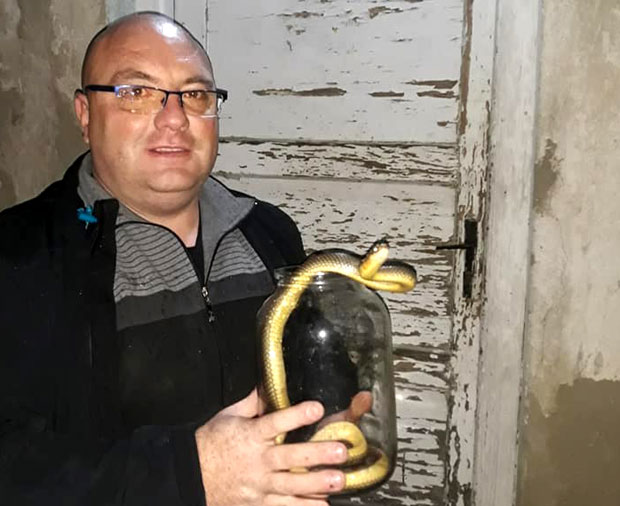 НЕЗАПАМЋЕНИ ДОГАЂАЈ: Змија измилела усред зиме, кад јој време није