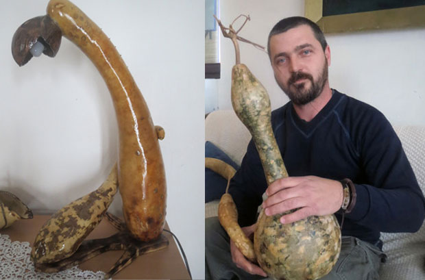 Од врга машта прави свашта