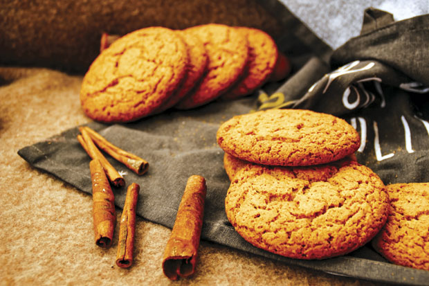 Опијајућа арома  цимета