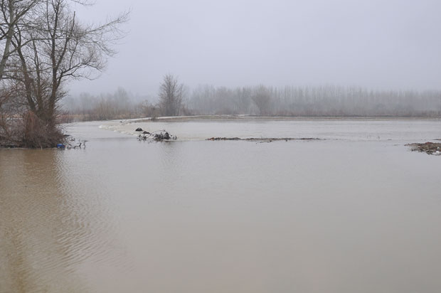 Излила се Западна Морава, под водом путеви и оранице (ФОТО)