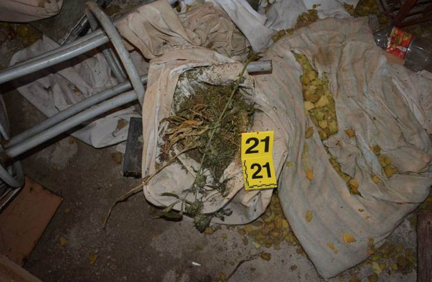 АКЦИЈА „КРУПАЦ“: Ухапшено седам особа, пронађена дрога и цигарете (ФОТО)