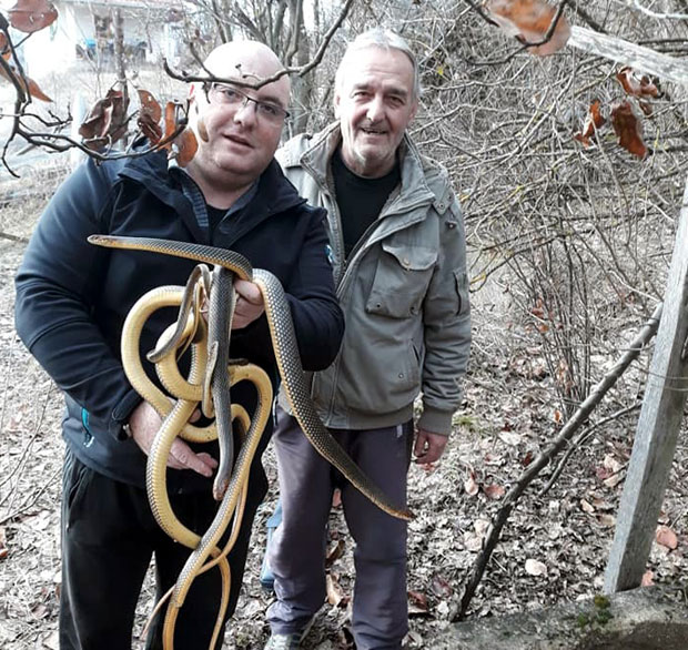 Бунар препун смукова