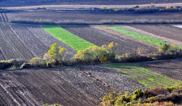 Задругама отели 200.000 хектара